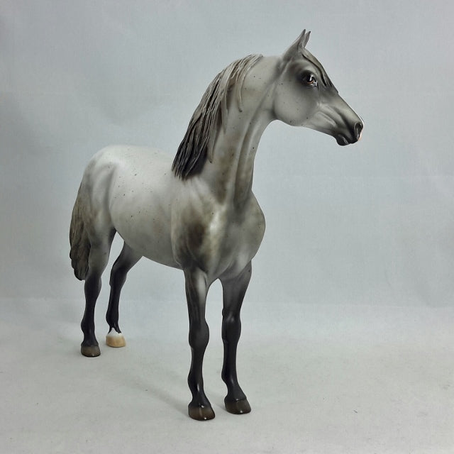 ACROSS THE SEA - OOAK Chestnut Going Gray Morgan