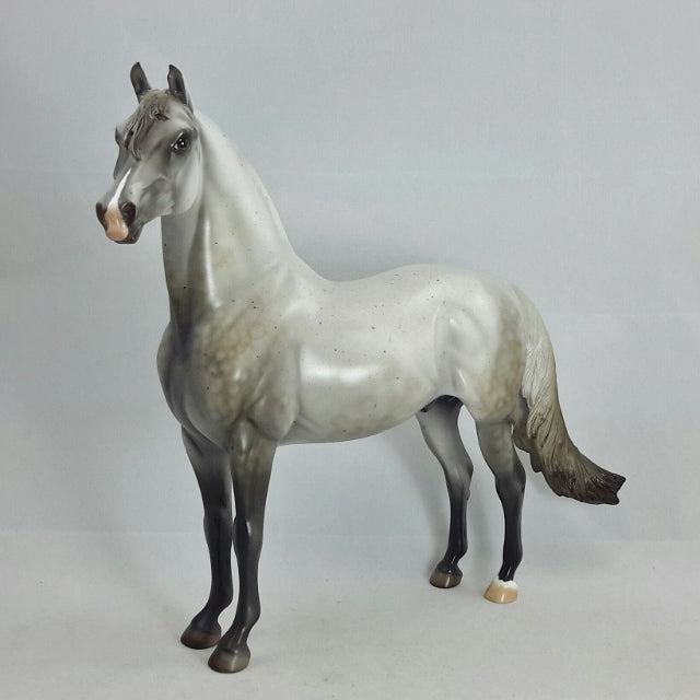 ACROSS THE SEA - OOAK Chestnut Going Gray Morgan