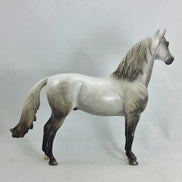 ACROSS THE SEA - OOAK Chestnut Going Gray Morgan