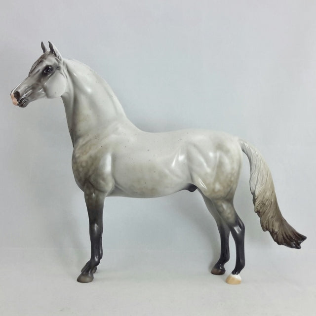 ACROSS THE SEA - OOAK Chestnut Going Gray Morgan