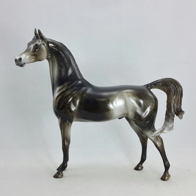 SON OF A WEAVER - OOAK Dapple Black Going Gray Arabian