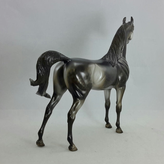 SON OF A WEAVER - OOAK Dapple Black Going Gray Arabian