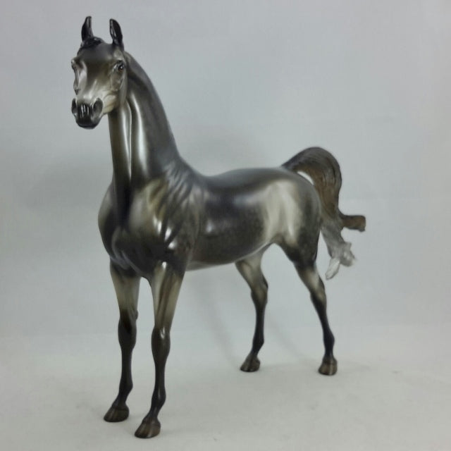 SON OF A WEAVER - OOAK Dapple Black Going Gray Arabian