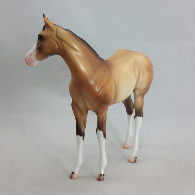 SIAFU - Buckskin Weanling by Caroline Boydston