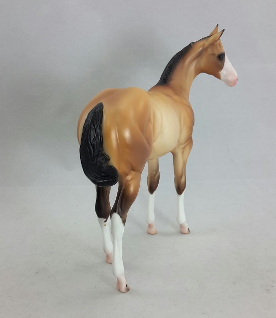 SIAFU - Buckskin Weanling by Caroline Boydston