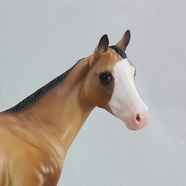 SIAFU - Buckskin Weanling by Caroline Boydston