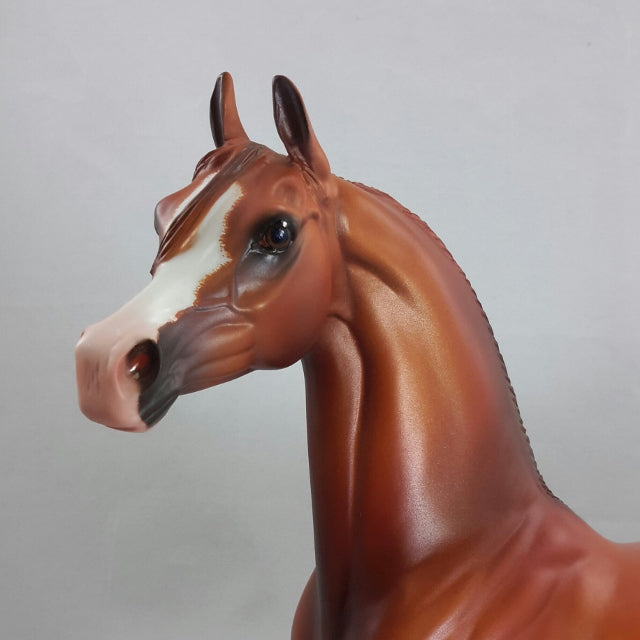 KINANJUI - Bright Dapple Chestnut Arabian by Caroline Boydston