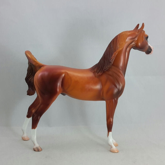 KINANJUI - Bright Dapple Chestnut Arabian by Caroline Boydston