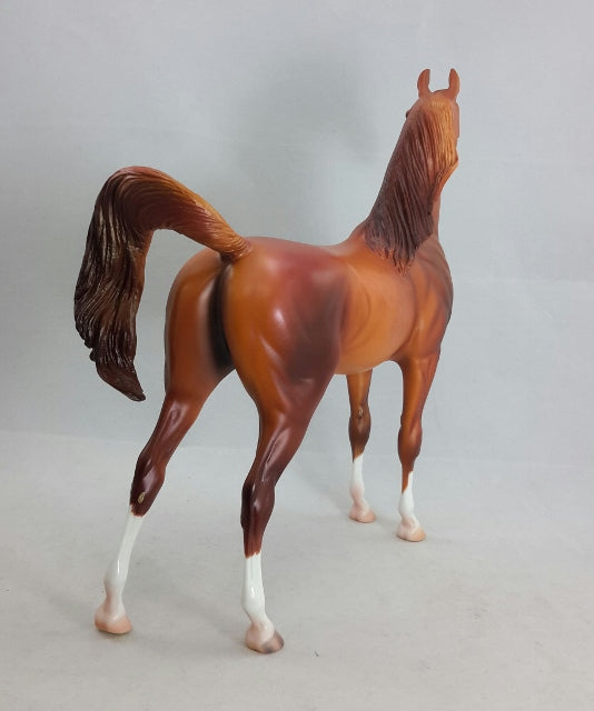 KINANJUI - Bright Dapple Chestnut Arabian by Caroline Boydston