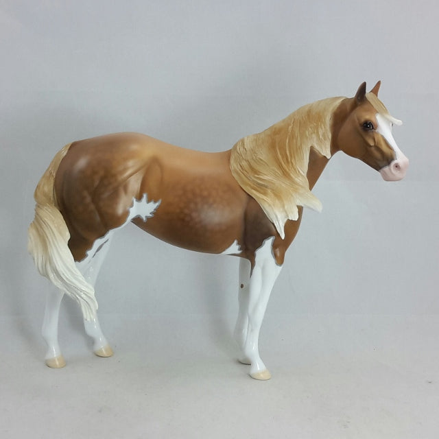 SHIPS WHEEL - OOAK Dapple Sooty Palomino Stock Horse