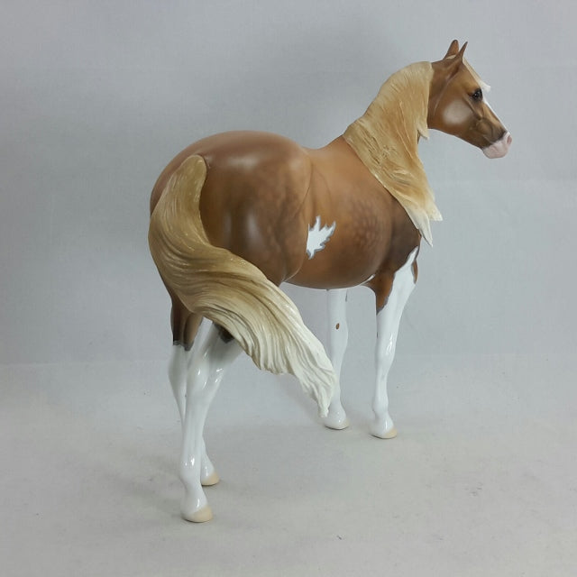 SHIPS WHEEL - OOAK Dapple Sooty Palomino Stock Horse