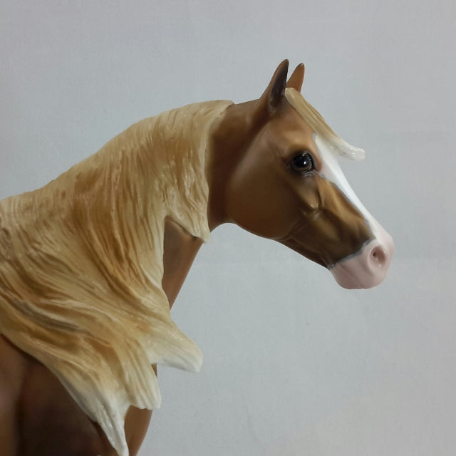 SHIPS WHEEL - OOAK Dapple Sooty Palomino Stock Horse