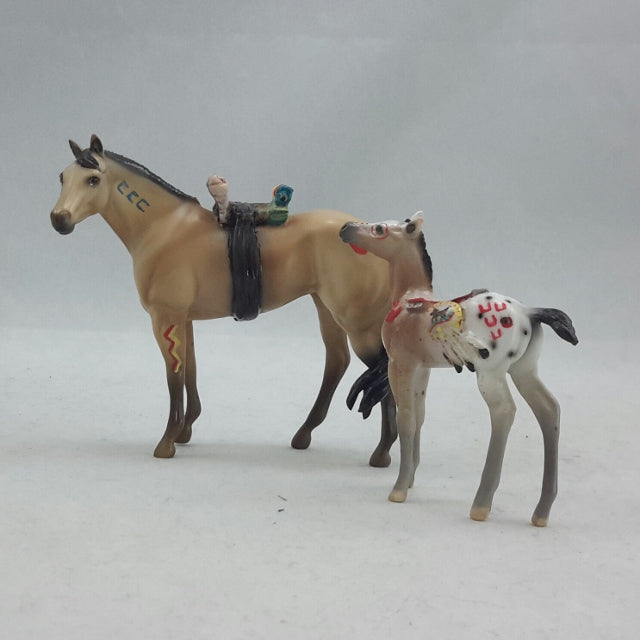 Ela & Onawa Native American Stone Chips