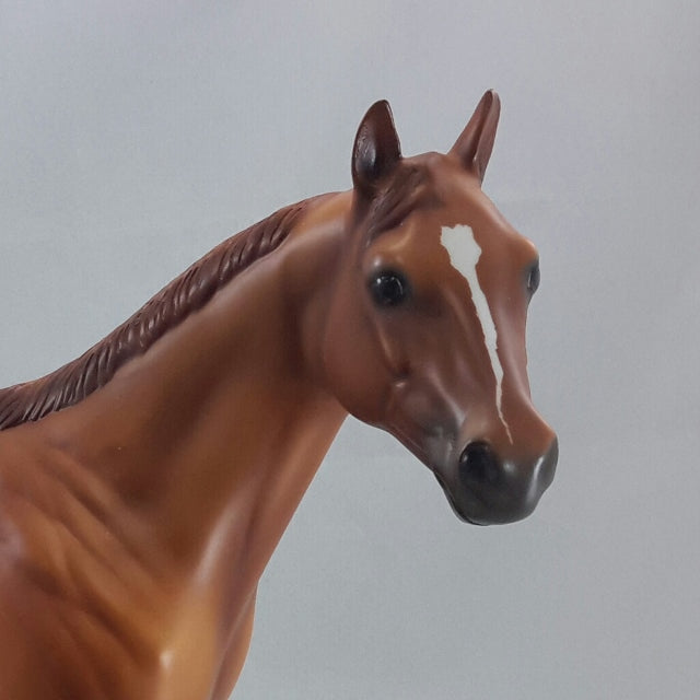 SHAMOB - OOAK Red Dun Stock Model Horse