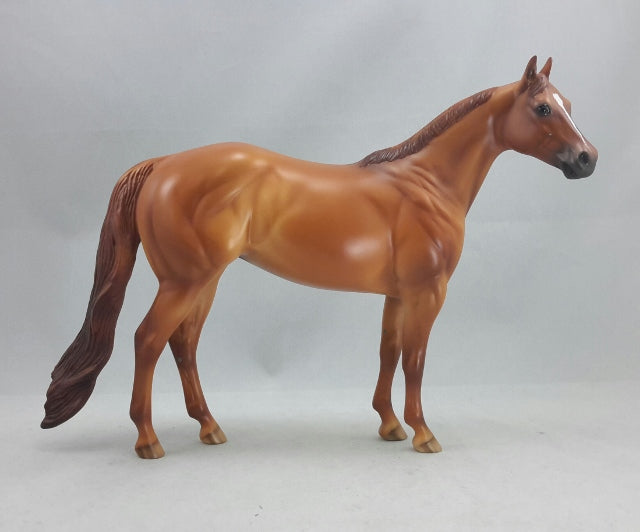 SHAMOB - OOAK Red Dun Stock Model Horse