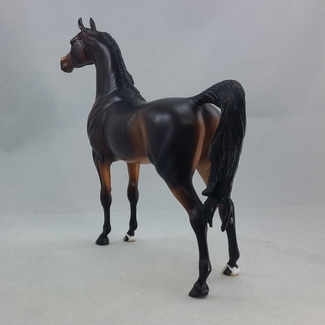 SYLVARI - OOAK Dapple Seal Bay Arabian