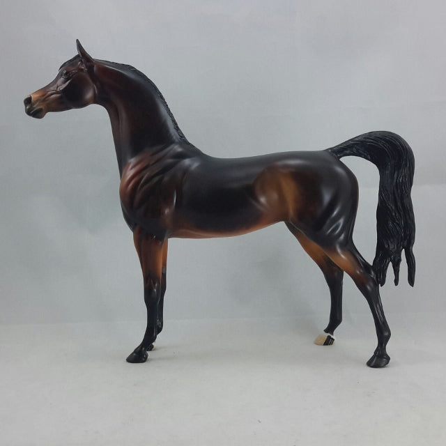 SYLVARI - OOAK Dapple Seal Bay Arabian