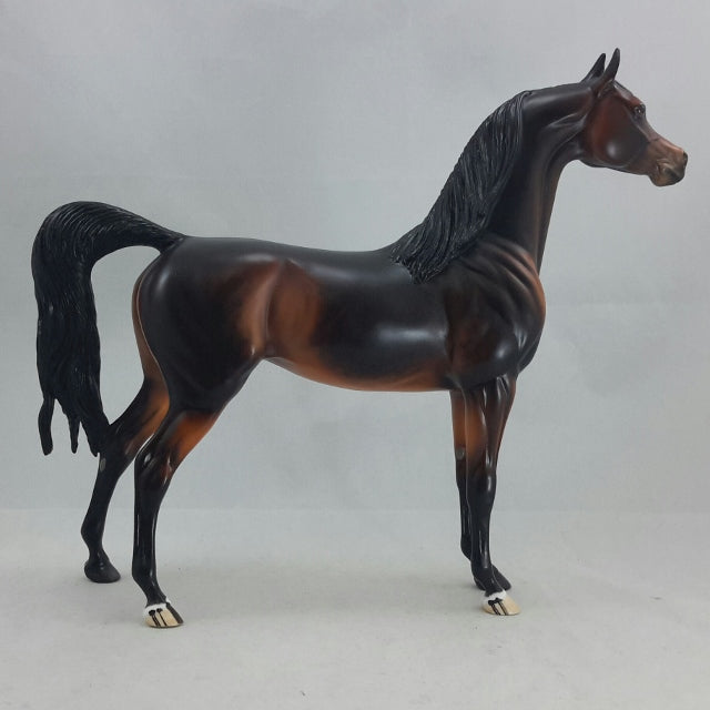 SYLVARI - OOAK Dapple Seal Bay Arabian