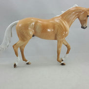 ASURA - OOAK Palomino Dapple Thoroughbred