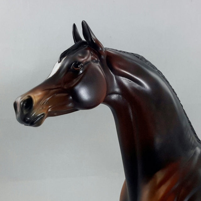 SYLVARI - OOAK Dapple Seal Bay Arabian