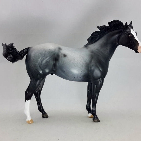 ALAROS - OOAK Blue Roan Stock Horse