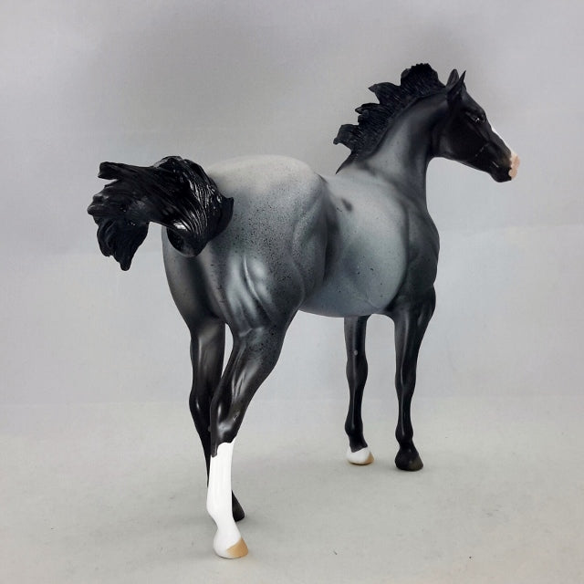 ALAROS - OOAK Blue Roan Stock Horse