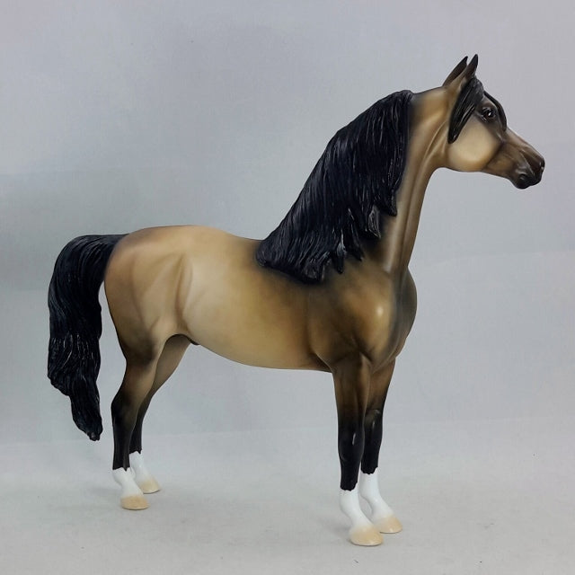 THELAROS - OOAK Sooty Buckskin Morgan