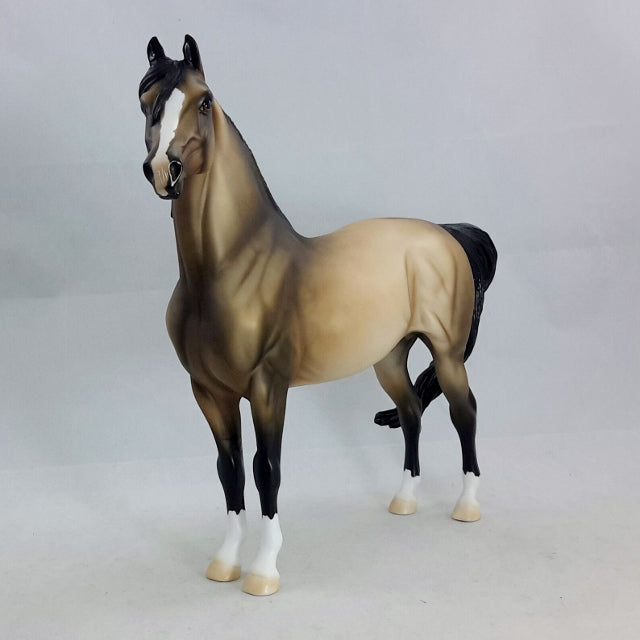 THELAROS - OOAK Sooty Buckskin Morgan