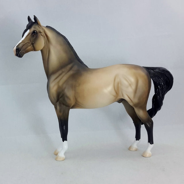 THELAROS - OOAK Sooty Buckskin Morgan