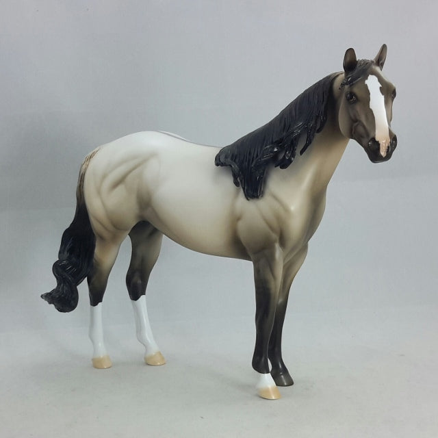 VERANNI - OOAK Light Dun Stock Horse