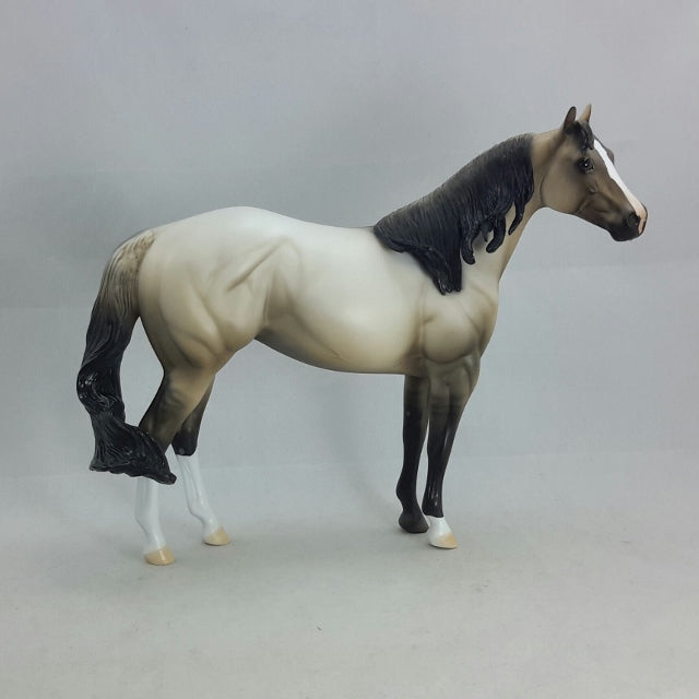 VERANNI - OOAK Light Dun Stock Horse