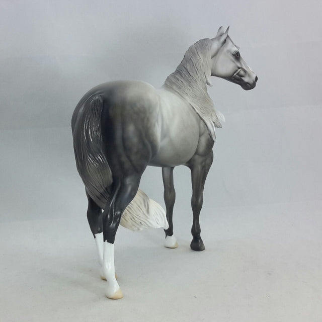 HALVADAR - Dapple Gray Stock Horse