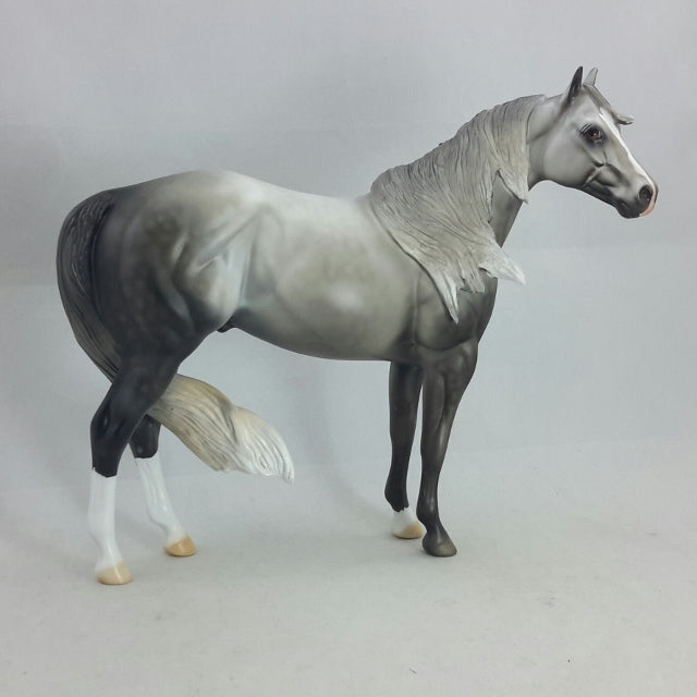 HALVADAR - Dapple Gray Stock Horse