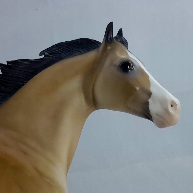 THEODIN - Sooty Buckskin Stock Horse