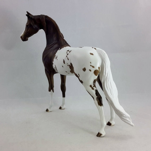 ADORABELLE - OOAK Araloosa