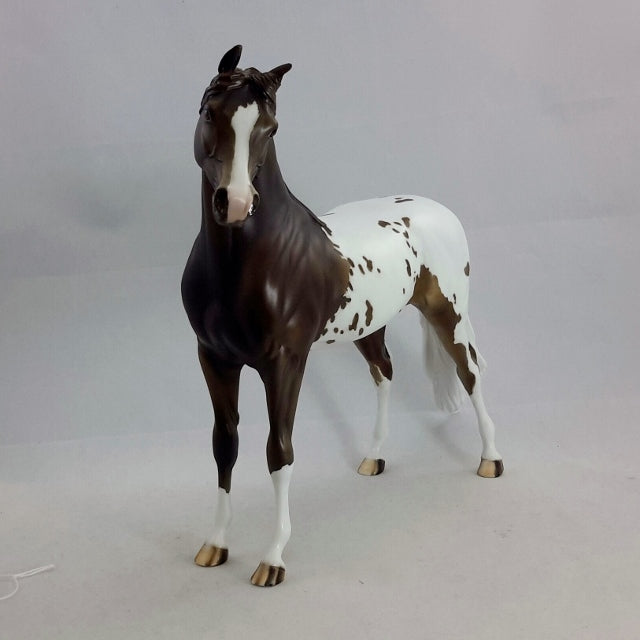 ADORABELLE - OOAK Araloosa