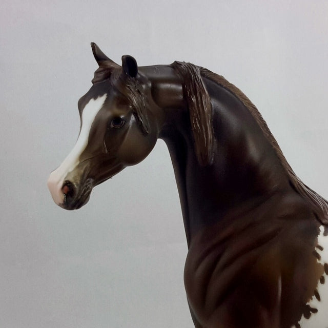 ADORABELLE - OOAK Araloosa