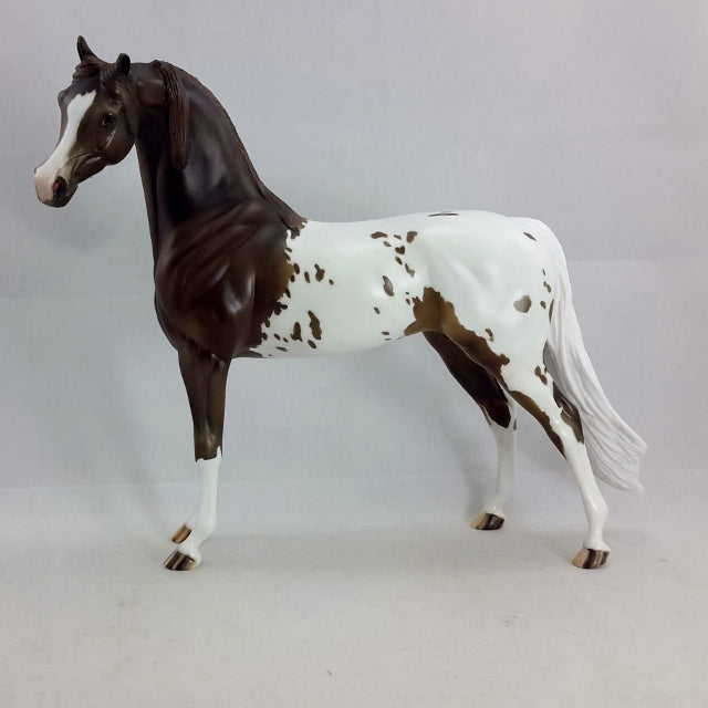 ADORABELLE - OOAK Araloosa
