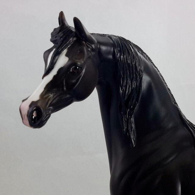 NIMBUS - OOAK Dark Brown Arabian