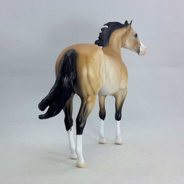 THEODIN - Sooty Buckskin Stock Horse