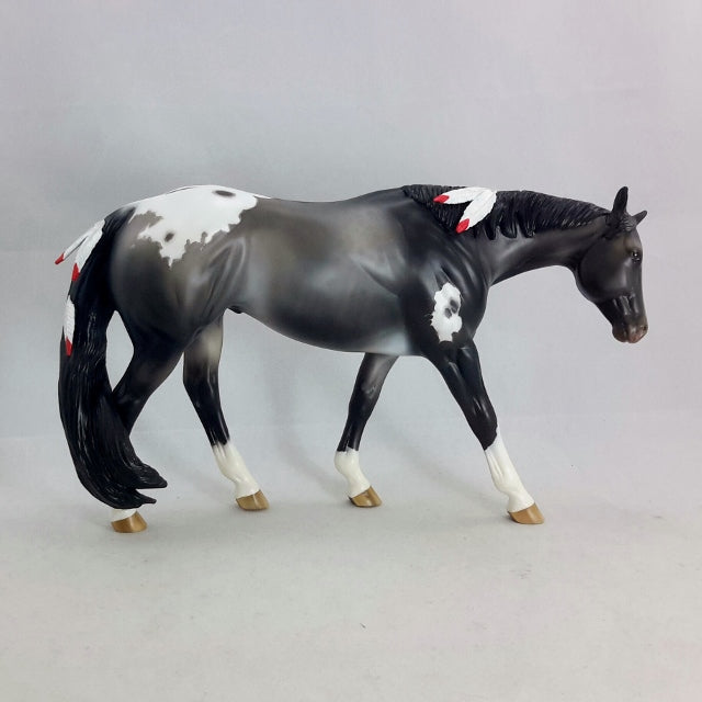 Sheryl Leisure Appaloosa