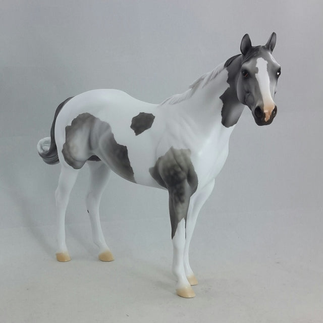 OBERON - OOAK Gray Dapple Tobiano Stock Horse