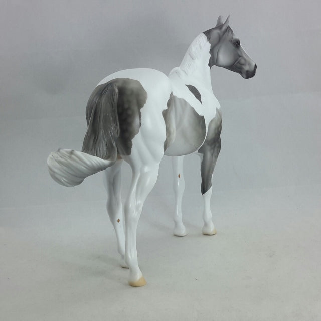 OBERON - OOAK Gray Dapple Tobiano Stock Horse