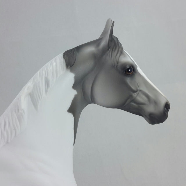 OBERON - OOAK Gray Dapple Tobiano Stock Horse