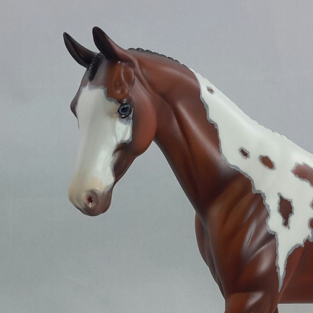 PUCK - OOAK Bay Paint English Pony