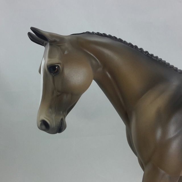 ALEA - OOAK Chestnut Appaloosa English Palouse