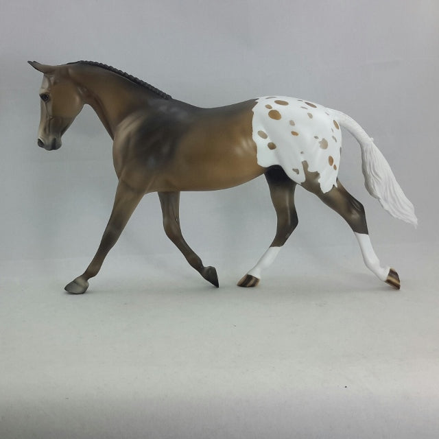 ALEA - OOAK Chestnut Appaloosa English Palouse