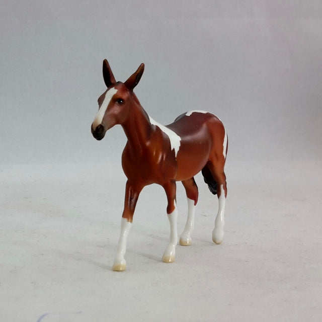 KHAJIT - Pinto Mule Chip Model