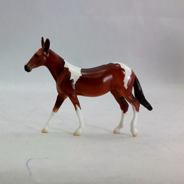 KHAJIT - Pinto Mule Chip Model