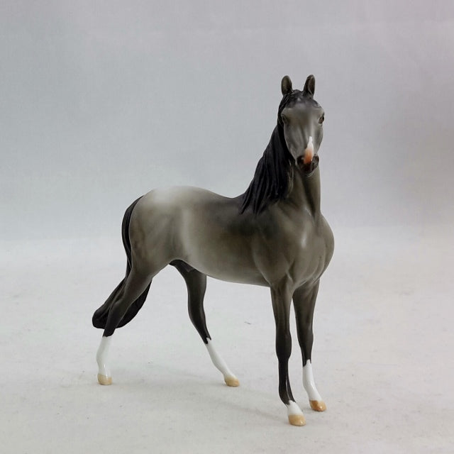 ARGON - OOAK Gray Morgan Model Horse